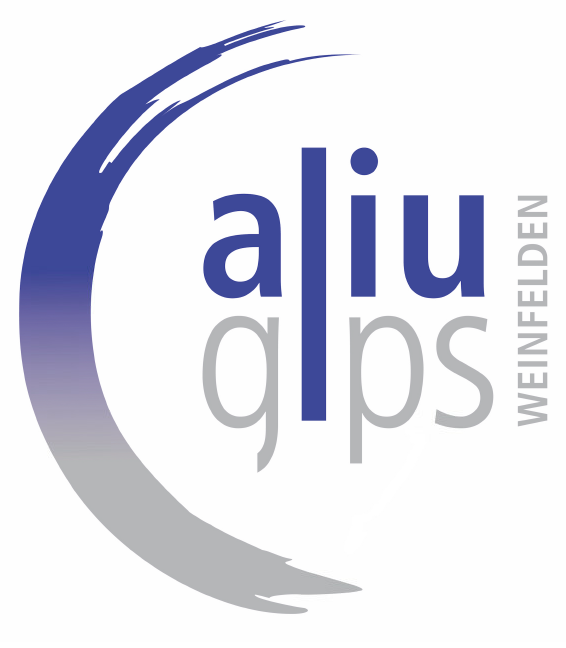 aliu-gips.PNG