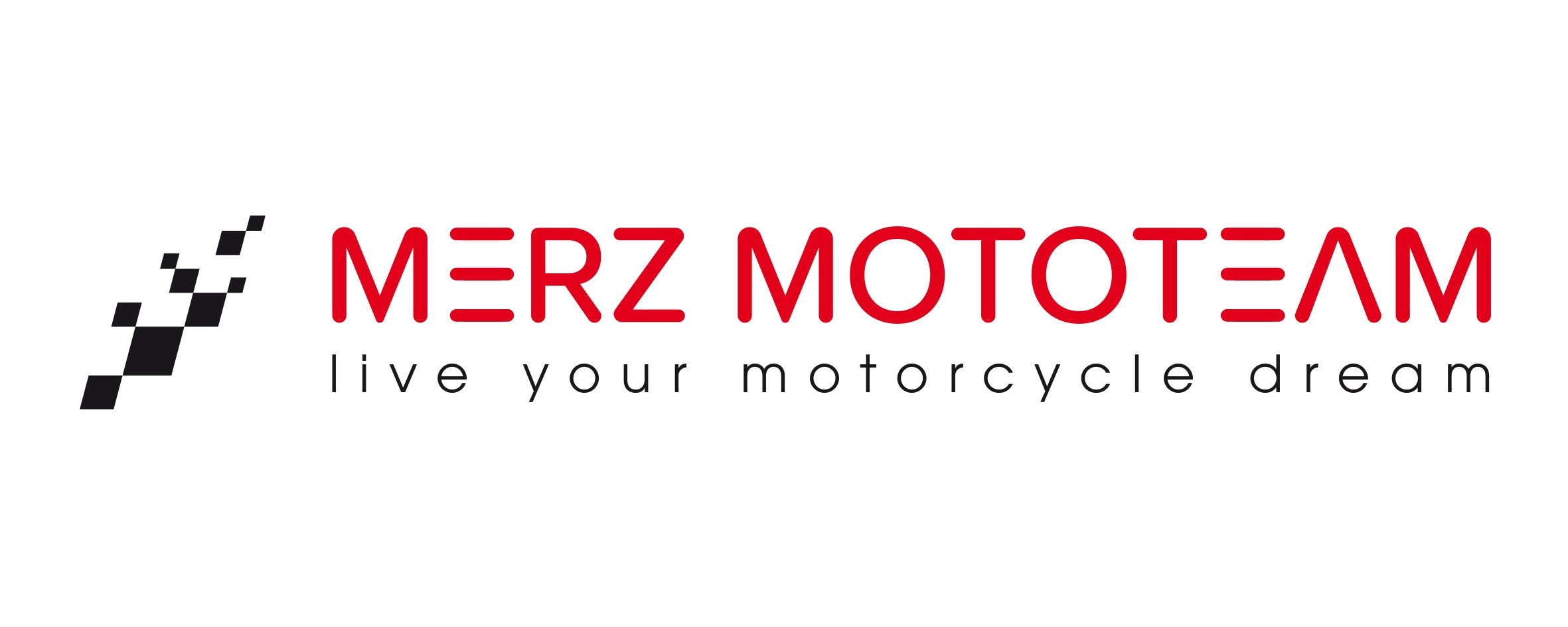 merz-mototeam.jpg